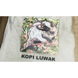 Kopi Luwak (Kopi Loewak)