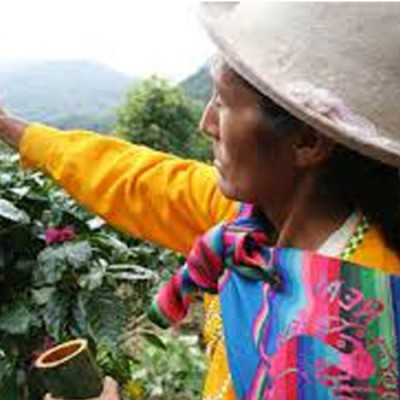 Koffiebonen Peru Chanchamayo 1 kg