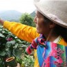 Koffiebonen Peru Chanchamayo 1 kg
