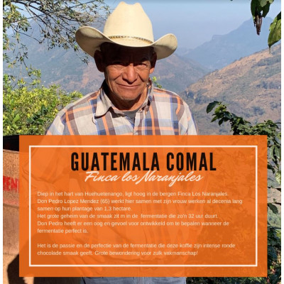 Koffiebonen Fair Trade Guatemala Fedecocagua
