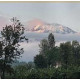 Koffiebonen Direct Trade Tanzania Kilimanjaro APK 1 kg