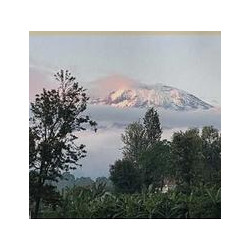 Koffiebonen Direct Trade Tanzania Kilimanjaro APK 1 kg