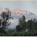 Koffiebonen Direct Trade Tanzania Kilimanjaro APK 1 kg