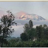 Koffiebonen Direct Trade Tanzania Kilimanjaro APK 1 kg