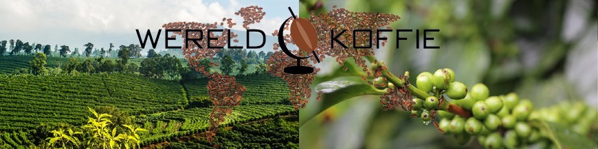 Koffieproeverij
