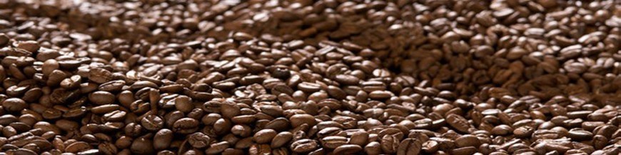 Capsules voor Nespresso Single Origins