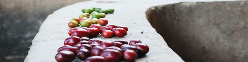 Gran Riserva capsules voor nespresso