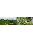 Wereldkoffie koffieproducten
