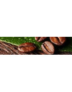 Single Origins koffiebonen